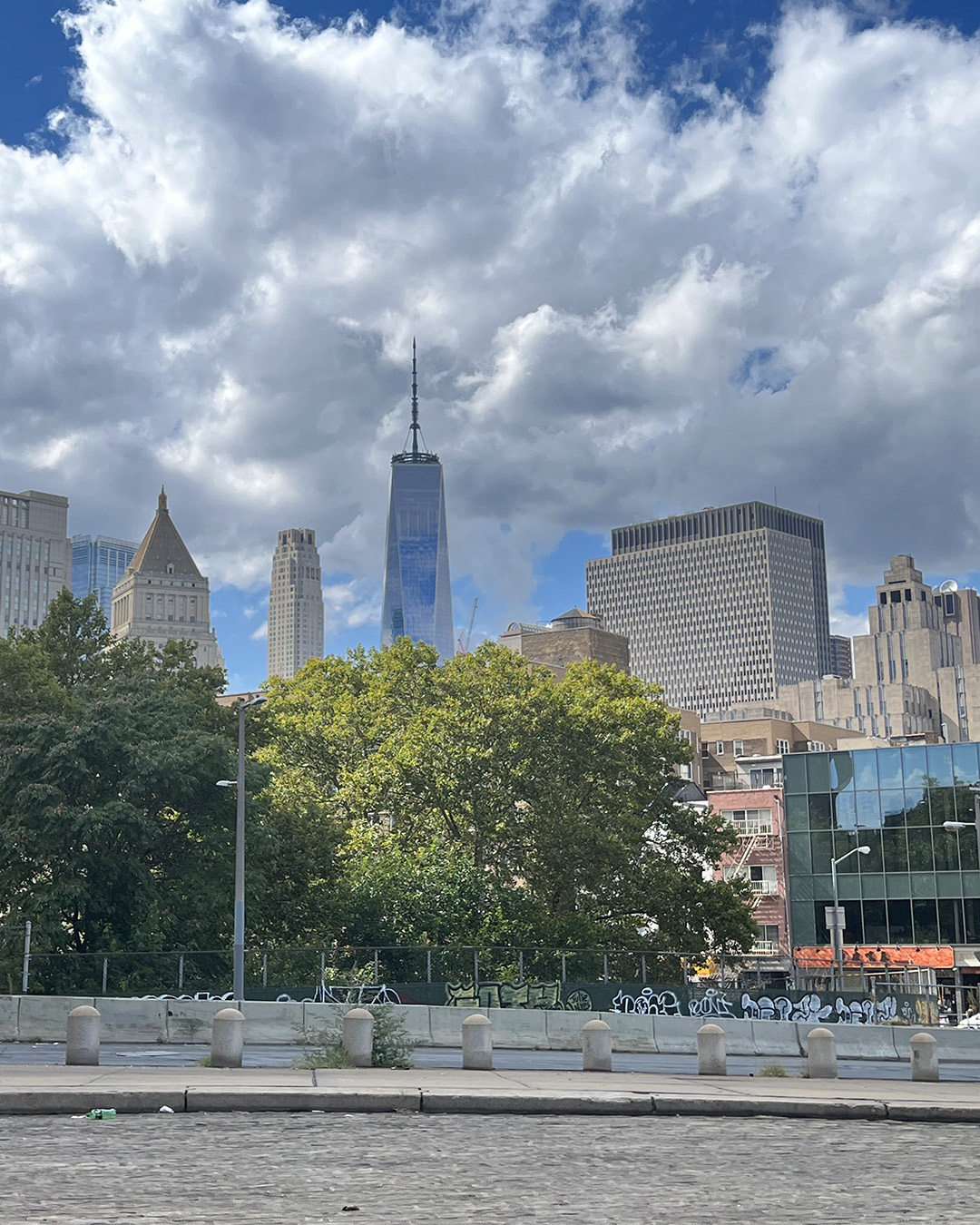 One World Trade Center from the west